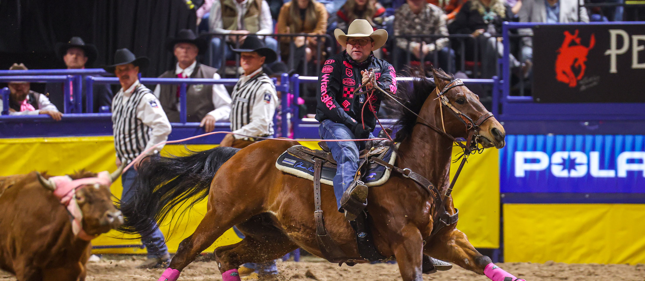 A cowboy riding hose at a rodeo.